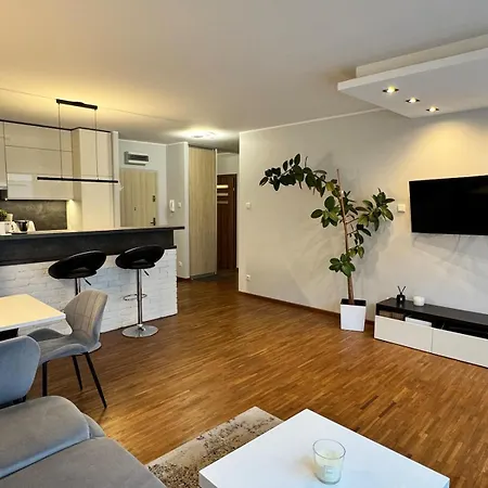 Komfortowy W Centrum - Free Parking Apartment Poznan